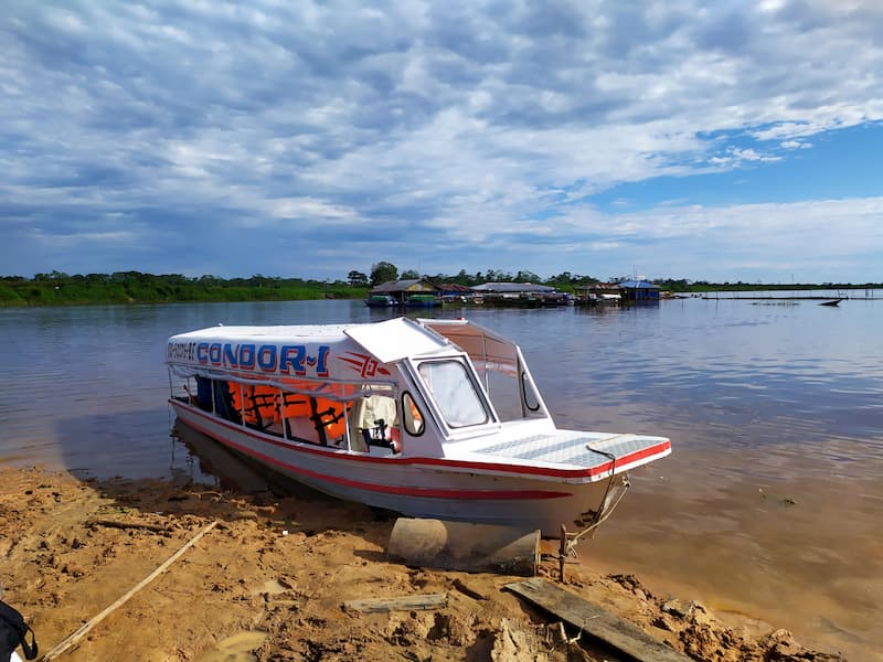 "Slider" in Requena, a town on the banks of the Ucayali River, 7 hours away from Iquitos.