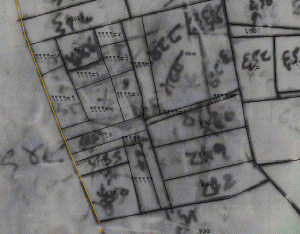 old cadastral map
